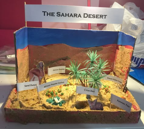 Sahara Desert Diorama Dessert Biome Project, Desert Biome Shoebox Project, Sahara Desert Diorama, Rattlesnake Diorama, Desert Diorama Ideas, Desert Diorama Ideas For Kids, Desert Diorama Projects, Desert Biome Project Ideas, Desert Ecosystem Project