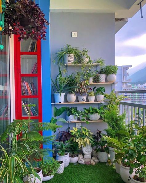 Large Balcony Plant Ideas, Balcony Plant Rack Ideas, Balcony Garden Ideas Terraces, Balcony Garden Ideas Indian, Balcony Hanging Plants Railings, Balcony With Plants Ideas, South Balcony Plants, Balcony Pots Ideas, Small Balcony Garden Ideas Indian