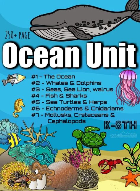 Ocean Science Experiments, Sea Turtle Life Cycle, Ocean Lesson Plans, Homeschool Science Lessons, Animal Lessons, Unit Studies Homeschool, Marine Science, Ocean Unit, Beach Week