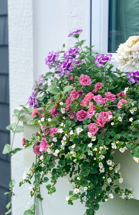 White Pink and Purple Flower Boxes - The Lilypad Cottage Lilypad Cottage, Porch Flowers, Balcony Flowers, Window Box Flowers, Container Gardening Flowers, Flower Pots Outdoor, Pink And Purple Flowers, Planter Ideas, Garden Containers