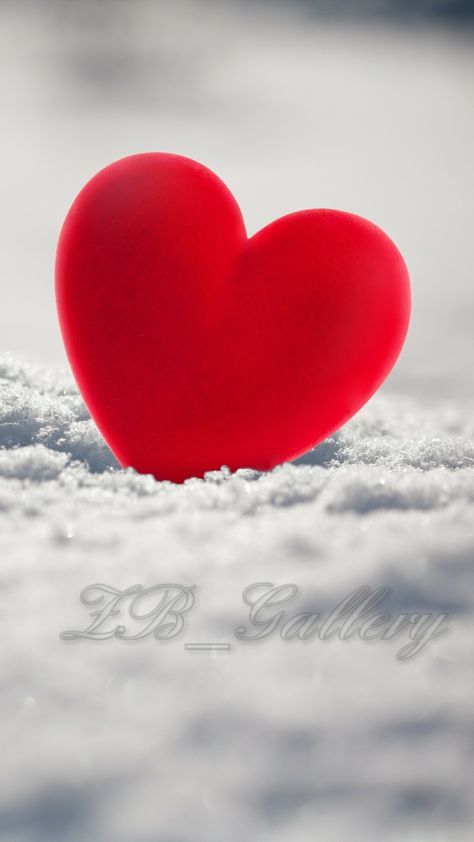 Amor 14 de febrero Love Heart Images, Love Wallpaper Backgrounds, Love You Images, Cute Love Wallpapers, Valentines Wallpaper, I Love Heart, Heart Pictures, Beautiful Love Pictures, Heart Images