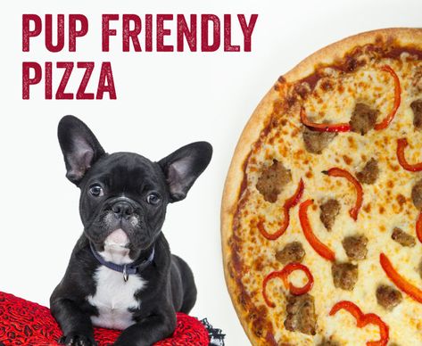 How to Make Puppy-Friendly Pizza - Giordanos Dog Friendly Pizza, Dog Friendly Food Recipes, Puppy Pizza Recipe, Pizza For Dogs Recipe, Pizza For Dogs, Dog Pizza Recipe, Dog Pizza, Pet Recipes, Pet Snacks