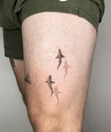 Mens Side Arm Tattoo, Shark Tooth Spine Tattoo, 2 Shark Tattoo, Tattoos For Men Genital, Small Shark Tattoo Men, Red Shark Tattoo, Black Tip Shark Tattoo, Shark Spine Tattoo, Tiny Shark Tattoo