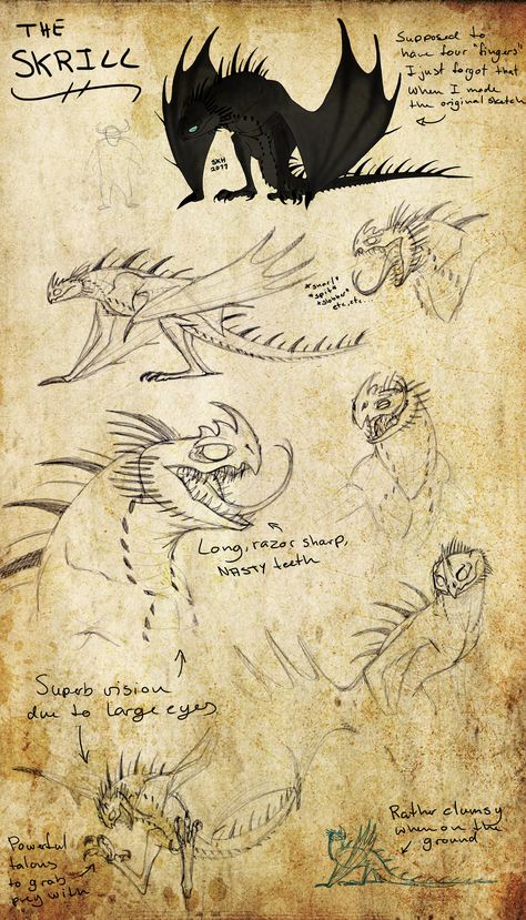 Httyd Art, Dreamworks Dragons, Dragon Sketch, Httyd Dragons, Dragon Trainer, Dragon Rider, Dragon Drawing, Book Dragon, Mythological Creatures