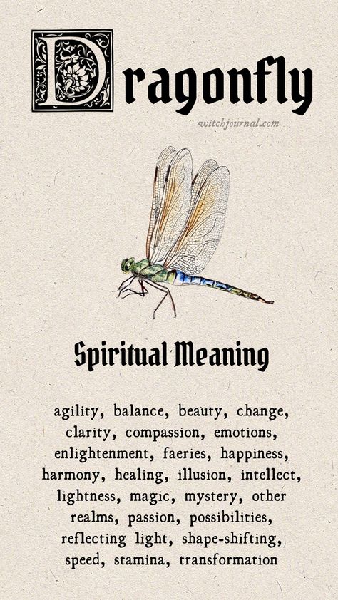 dragonfly tattoo ideas meaning Spiritual Tattoos Animals, Meaning Of Dragonfly Tattoo For Women, Symbolism Of Dragonflies, Symbol Of Transformation, Dragonfly Tattoo Symbolism, Spirit Guides Tattoo, Dragon Fly Spiritual Meaning, Dragonfly Symbolism Meaning, Dragonfly Spirit Animal