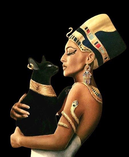 How Cats Became A Symbol of Femininity | by Isa N. Writing | May, 2022 | Medium Cleopatra With Cat, Queen Nefertiti Art, Egyptian Cat Art, Nefertiti Art, Egyptian Cat Tattoos, Cats In Ancient Egypt, Egypt Cat, Egyptian Goddess Art, Egyptian Cat