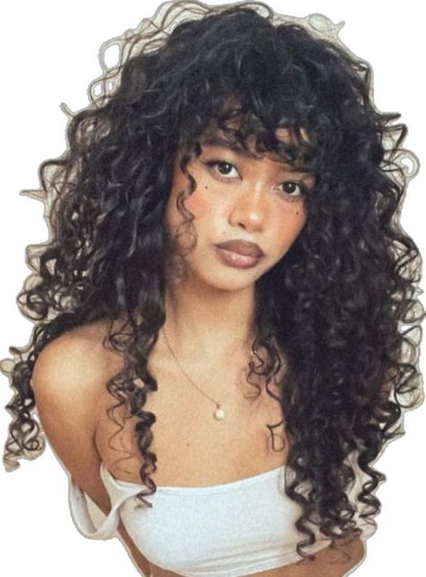 3b Curly Hair, Natural Curly Wig, Face Framing Hair, 3b Hair, Everyday Curls, Curly Hair Photos, Goddess Braids Hairstyles, Haircuts For Curly Hair, Hair Stylies