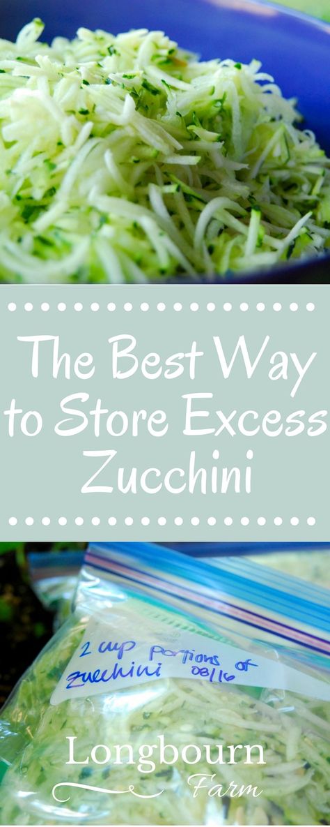 Find out the best way to store excess zucchini! Shredding and freezing it is the way to go! It's easy, fast, and lets you enjoy it all winter long. Wild Plum Jelly Recipe, Can You Freeze Zucchini, Store Zucchini, Freeze Strawberries, Freezing Strawberries, Freezing Zucchini, Zucchini Recipes Dessert, Healthy Breakfast Snacks, Canning Vegetables