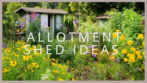 Allotment Shed Ideas: Things to Consider for the Best Allotment Shed Allotment Layout, Backyard Bar Shed, Allotment Shed, Insulating A Shed, Shed Makeover, Garden Home Office, Bar Shed, Shed Ideas, Summer House Garden