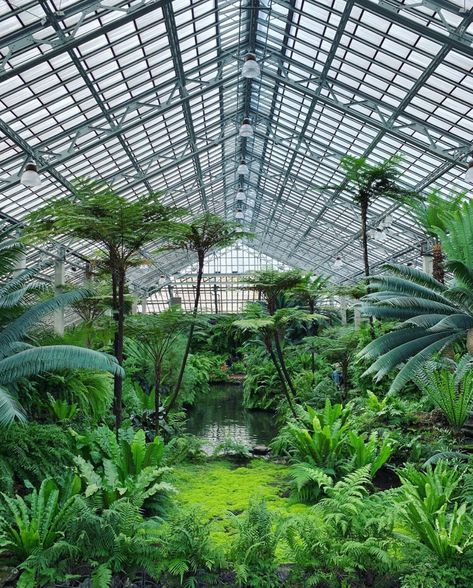 Garfield park conservatory, Chicago Garfield Park Conservatory, Victorian Greenhouses, Conservatory Greenhouse, Conservatory Garden, Inspiration Nature, Garden Greenhouse, Greenhouse Gardening, March 7, Green House