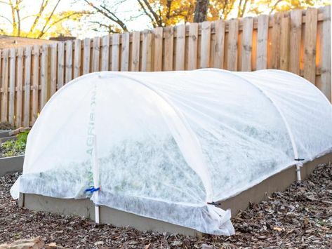 The gardening experts at HGTV show you how to make row covers for raised beds so you can extend your growing season and even get a jump on spring. Protect Plants From Frost, Low Maintenance Garden Design, Hoop House, Raised Bed Garden, Winter Vegetables Gardening, Winter Gardening, Build A Greenhouse, Row Covers, Fall Flower Arrangements