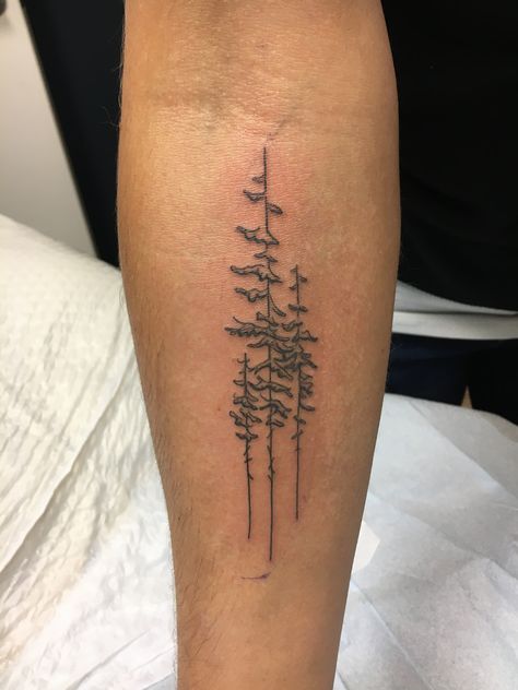 Lodge Pole Pine Tree Tattoo, Pine Tree Back Tattoo, Tree Rib Tattoo, Tree Outline Tattoo, Tree Tattoo Back, Tree Outline, Tree Tattoos, Pine Tree Tattoo, Outline Tattoo