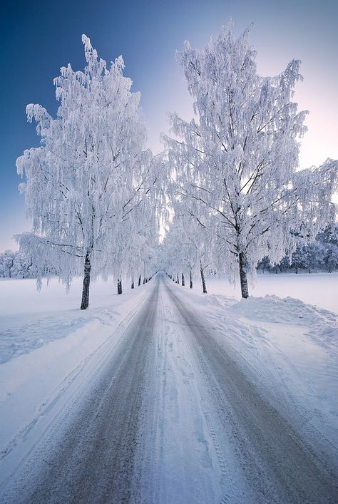 so  pretty Winter Road, Winter Schnee, Winter Love, Winter Scenery, Winter Magic, Winter Beauty, Snowy Day, Snow Scenes, Winter Pictures