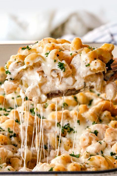 Million Dollar Chicken Alfredo Bake (make ahead, freezer instructitons, etc) Alfredo Pasta Casserole Recipes, White Pasta Casserole, Creamy Chicken Alfredo Casserole, Creamy Casserole, Alfredo Pasta Casserole, Chicken Alfredo Baked Ziti, Three Cheese Alfredo Bake, Chicken Alfredo For A Large Crowd, Cellentani Pasta Recipes