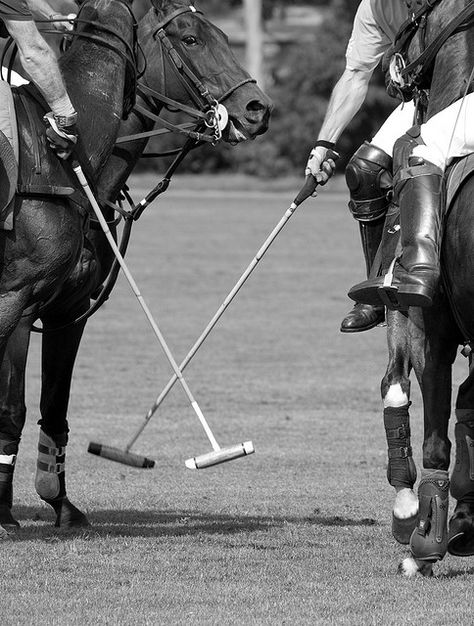 New rounds, new chances. Ham Polo Club Polo Riding Aesthetic, Tom Buchanan Aesthetic, Polo Aesthetic Sport, Horse Polo Aesthetic, Polo Game Aesthetic, Polo Club Aesthetic, Polo Horse Aesthetic, Polo Sport Aesthetic, Polo Horse Riding