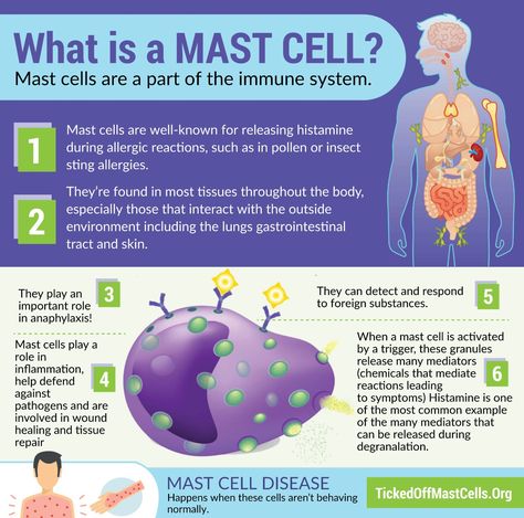 “What is Mast Cell Activation Syndrome?” (article, infographics, resources) #TickedOffMastCells High Histamine Foods, Mast Cell Activation, Dysautonomia Pots, Autoimmune Disorders, Histamine Intolerance, Immune Cells, Chest Discomfort, Mast Cell Activation Syndrome, Low Histamine Diet