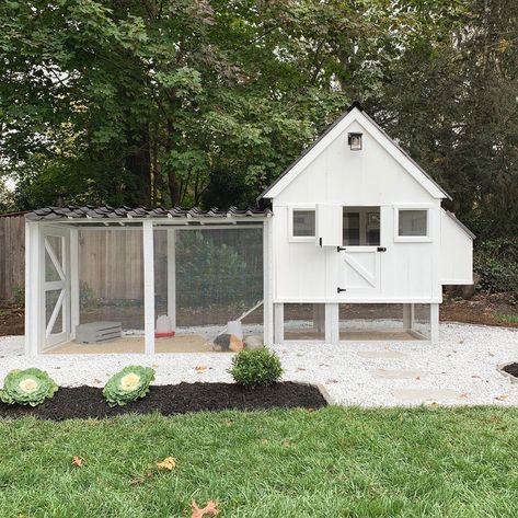 Playhouse Chicken Coop, Chicken Pens, Chicken Coop Designs Diy, Landscaping Rocks, Plot Ideas, Small Chicken Coops, Chicken Shed, Duck Coop, Crop Farming