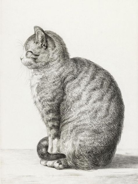 Sitting cat (1815) by Jean Bernard (1775-1883). Original from The Rijksmuseum. Digitally enhanced by rawpixel. | free image by rawpixel.com / Rijksmuseum (Source) معرض فني, Classic Art Prints, Free Illustration Images, Classic Artwork, Cat Artwork, Antique Illustration, Cat Art Print, Cat Sitting, Happy Cat