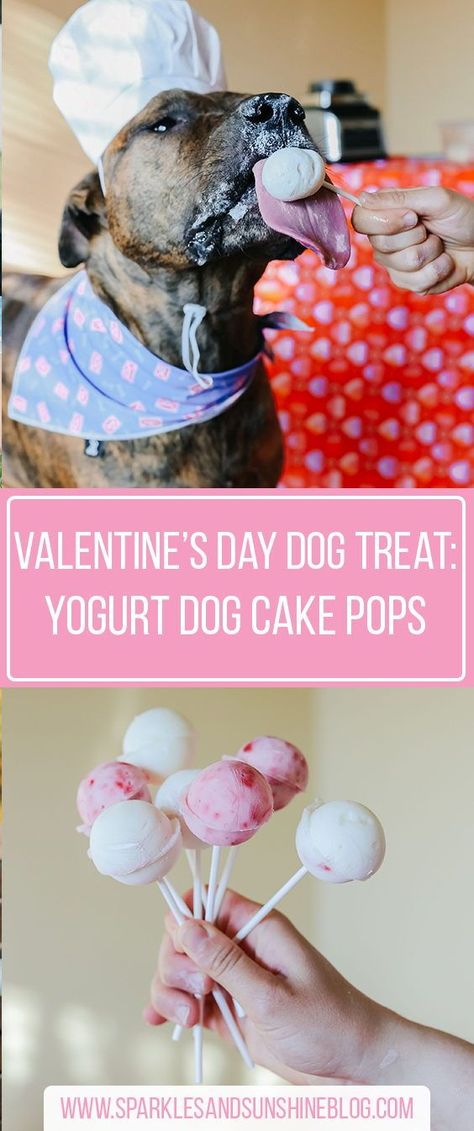 Dog Daycare Valentines Day, Dog Safe Treats, Dog Friendly Sprinkles, Valentines Dog Treats Recipe, Dog Cake Pops For Dogs, Strawberry Dog Treats Recipes, Valentine Dog Treats Homemade, Cold Dog Treats, Valentines For Dogs