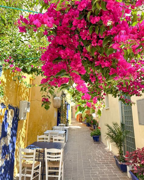 Ad | Wandering through the gorgeous streets of Chania Old Town 🌺🫶🏻 It’s a little time capsule with architecture being mix of Ottoman and Venetian. The old town sprawls back from the Venetian Harbour and is home to various archaeological sites, including remnants of ancient Minoan, Roman, and Byzantine civilisations 🏛️ It’s packed full of charm, and the perfect way to while away a morning in Crete 💙🇬🇷 @jet2pics @chaniatourism #jet2chania #chania #visitcrete #europeansummer #wherecharlie... Chania Old Town, Ancient Minoan, Heraklion, The Venetian, Archaeological Site, European Summer, Time Capsule, Crete, Rhodes