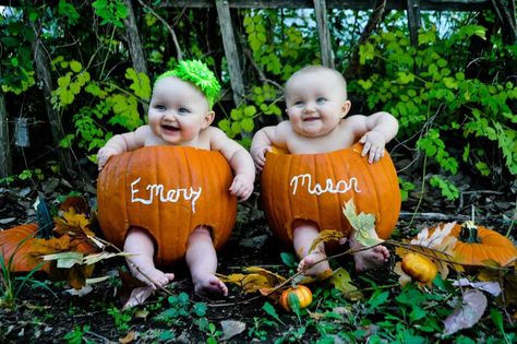 OMG Twin Halloween Photoshoot, Twins Fall Photoshoot, Fall Newborn Photos, Twin Babies Pictures, Halloween Baby Pictures, October Photoshoot, Twins Photoshoot, Twin Things, Fall Baby Photos