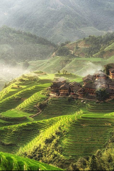 China Landscape, Cook Breakfast, Jungle Forest, Valley Village, Green Things, Rice Fields, Mountain Village, Big Sis, Beautiful Villages