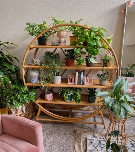 80s Room Aesthetic, Circle Shelf, 80s Room, Green Apartment, Negative Feelings, Bollywood Outfits, Apartment Life, House Plants Decor, Room With Plants