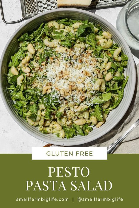 This easy recipe for gluten free pesto pasta salad is a delicious summer side dish. It is a cold Italian pasta salad that uses creamy basil pesto. This healthy salad includes arugula, cannellini beans and walnuts. Creamy Pesto Pasta Salad Recipes, Gluten Free Pesto Pasta, Gluten Free Cold Pasta Salad, Gluten Free Pesto Pasta Salad, Gluten Free Greek Pasta Salad, Gluten Free Caprese Pasta Salad, Cold Italian Pasta Salad, Gluten Free Pesto, Basil Pesto Sauce