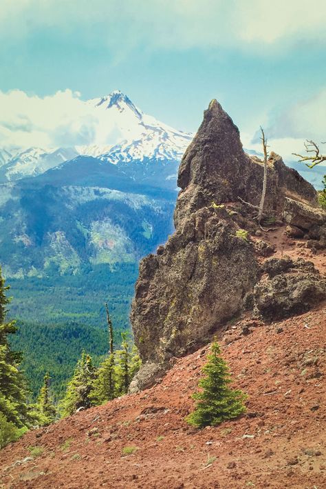 This Easy Hike Offers Oregon’s Best Mt Hood Views | Portland Monthly Mt Hood Hikes, Oregon Nature, Beginner Hiker, Mt Hood Oregon, Timberline Lodge, Trillium Lake, Oregon Hikes, Oregon Vacation, Lookout Mountain