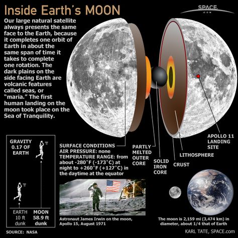 Our large, natural satellite always presents the same face to the Earth because it completes one orbit of Earth in about the same span of time Earth completes one rotation. Moon Infographic, Space Infographic, Moon Facts, Astronomy Facts, Astronomy Science, Planets And Moons, Space Facts, Kuantan, Earth From Space