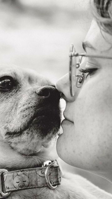 Kristen Ferry Photography on Instagram: "In the journey of life, there are moments that are both beautiful and heart-wrenching. Recently, I had the privilege to capture the poignant yet profoundly meaningful moments of a beloved dog’s end of life.  Each frame was a testament to the enduring bond between a human and their faithful companion. As I shot, fighting back my own tears, I aimed to freeze in time the love, the comfort, and the unwavering loyalty that was in front of me.  To those who have shared their homes and hearts with a four-legged friend, you understand the depth of this connection. It’s a love that transcends words, and it’s an honor to be able to preserve these memories.  Today would have been my Charlie’s 15th birthday. He passed unexpectedly on the Sunday before school va Dog Hugs, Dogs Hugging, School Vacation, Dog Photoshoot, Before School, Journey Of Life, Frozen In Time, Beloved Dog, 15th Birthday