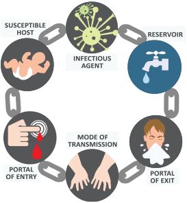 Modes of transmission Chain Of Infection, Infection Control Nursing, College Nursing, Basic Anatomy And Physiology, Nursing Mnemonics, Nursing Student Tips, Infection Prevention, Fundamentals Of Nursing, Nursing School Tips