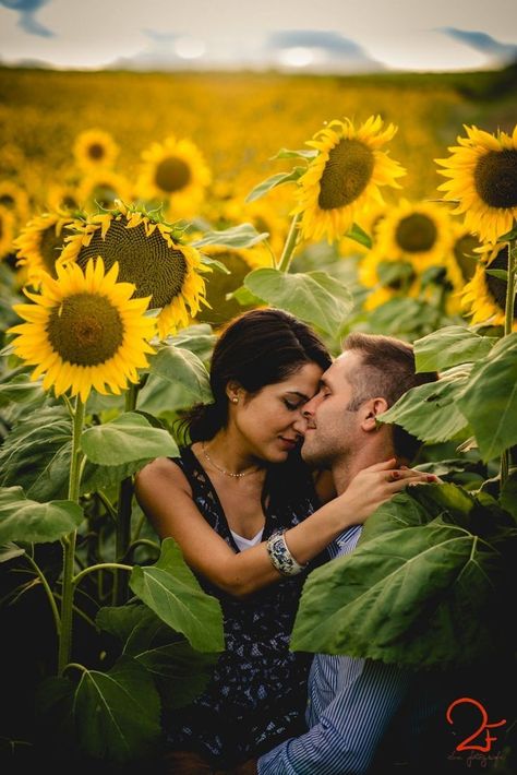 Sunflower Mini Session, Sunflower Field Photography, Sunflower Field Pictures, Sunflower Photoshoot, Sunflowers Field, Sunflower Photography, Emotional Wedding, Wedding Portrait Poses, Couple Engagement Pictures