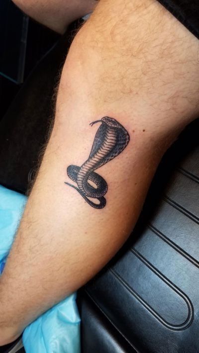 Cobra Tattoo. King Cobra Tattoo, Tongue Tattoo, King Cobra Snake, Japanese Snake Tattoo, Tato Tradisional, Cobra Tattoo, Serpent Tattoo, Snake Tattoo Design, Tattoo Prices