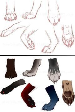 Dog Paw Drawing, Paw Drawing, Canine Drawing, Dog Anatomy, Animal Study, Wolf Drawing, Canine Art, Creature Drawings, Poses References