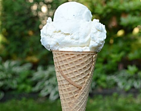 Philadelphia Ice Cream Recipes, Yogurt Ice Cream Recipe, Magical Kitchen, Homemade Ice Cream Cake, Trim Healthy Recipes, Brownie Ice Cream, Yogurt Ice Cream, Vanilla Recipes, Protein Ice Cream