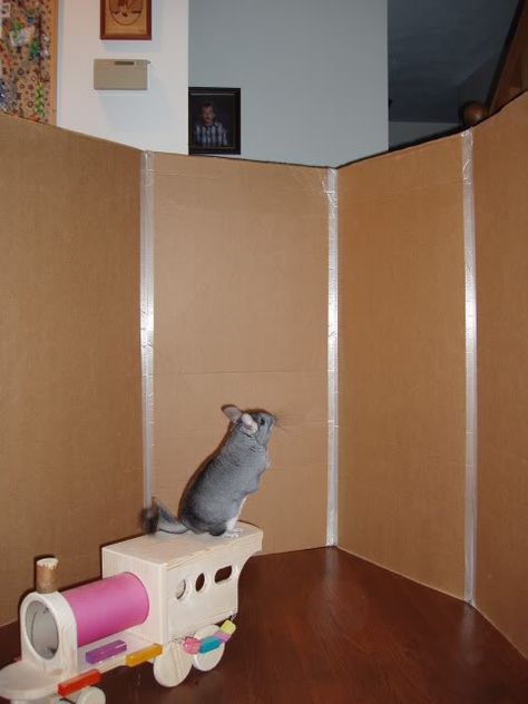 Cardboard playpen - Chins & Hedgies Chinchilla Cage Ideas Homemade, Chinchilla Colors, Chinchilla Diy, Diy Chinchilla Toys, Baby Chinchilla, Chinchilla Care, Chinchilla Toys, Chinchilla Pet, Hamster Diy