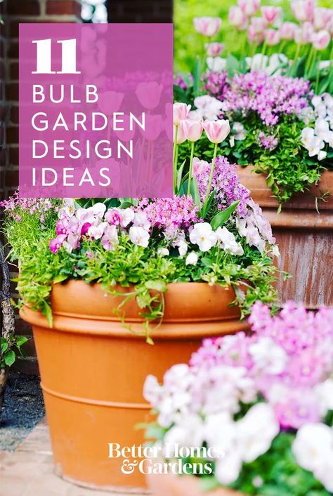 Spring Bulbs In Containers, Bulb Garden Design, Bulbs Garden Design, Spring Bulbs Garden, Bulb Garden, Creeping Phlox, Spring Flowering Bulbs, Garden Design Layout, Garden Bulbs