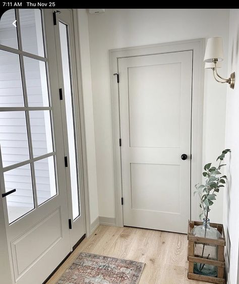 Wardrobe Door Design Modern, Luxury House Tour, Farmhouse Interior Doors, Modern Luxury House, Two Panel Doors, Grey Interior Doors, Interior Door Styles, Garage Door Styles, Interior Door Trim