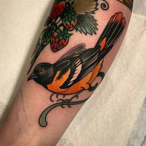 Oriole Bird Tattoo, Oriole Tattoo, Orioles Tattoo, Stay Humble Tattoo, Humble Tattoo, Bird Tattoo Sleeves, Little Bird Tattoos, Bird Tattoos For Women, Hawk Tattoo