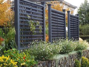 Free standing lattice panels are a great way to block unwanted views without breaking the bank. They look attractive on both sides and can be dressed up with climbing, roses, clematis, honeysuckle or other vines for another layer of screening. These lattice panels are perfectly positioned to screen views of a neighbour's driveway and patio. Nasturtiums, salvia and Dichondra 'Silver Falls' add a festive air. Lattice Panels, Urban Habitat, Privacy Fence Designs, Patio Privacy, Privacy Landscaping, Garden Privacy, Backyard Privacy, Garden Vines, Backyard Pergola