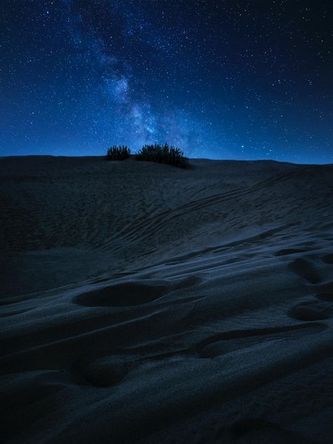 Jaisalmer Desert, Joker Photos, Desert Background, Thar Desert, Million Stars, Best Feeling, Desert Flowers, Night Landscape, Jaisalmer