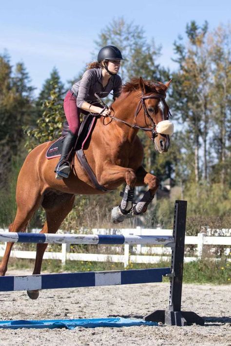 10 Best Stirrups for Jumping Clear (and Staying Safe) Trail Riding Horses, Horse Competition, Horseback Riding Outfits, Diy Horse Barn, Show Jumping Horses, Horse Therapy, Beautiful Horse Pictures, Equestrian Riding, Therapy Animals