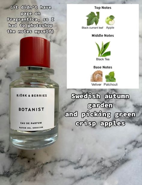 Herbal Perfume, Fragrance Lab, Diy Perfume, Fragrances Perfume Woman, Perfume Scents, Perfume Lover, Essential Oil Perfume, Fresh Fragrances, Homemade Skin Care