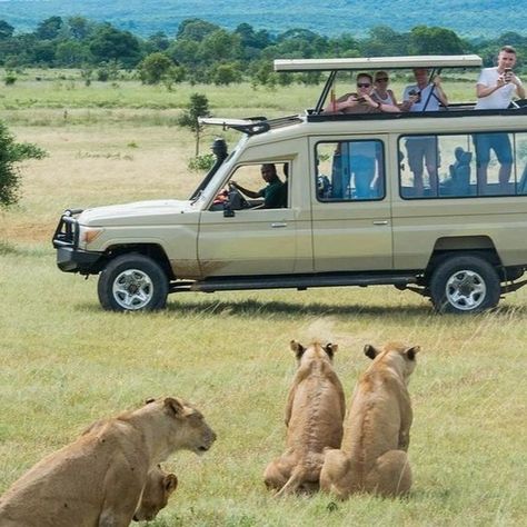 Considering Tanzania for Your Next Adventure? 🐾Embark on a journey of a lifetime with our group safaris to Tanzania! Discover the wonders of Northern Tanzania with daily departures available for a 5-days camping or lodge safari. Explore renowned spots like Tarangire National Park, Lake Manyara, Serengeti National Park, and the stunning Ngorongoro Crater. Whether you're seeking a spontaneous escape or prefer to plan in advance, we accommodate all types of travelers. Book today or pre-book... Lake Manyara National Park, Tanzania National Parks, Ngorongoro Crater, Tanzania Safari, Serengeti National Park, African Continent, Tanzania, Kenya, National Park