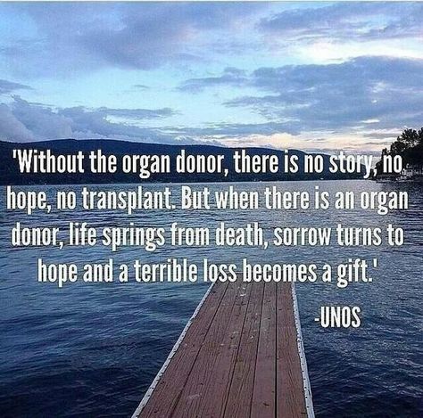 Organ Donor Quotes, Organ Donation Quotes, Donation Quotes, Living Kidney Donor, Kidney Donation, Organ Donation Awareness, Kidney Donor, Lung Transplant, Donate Life