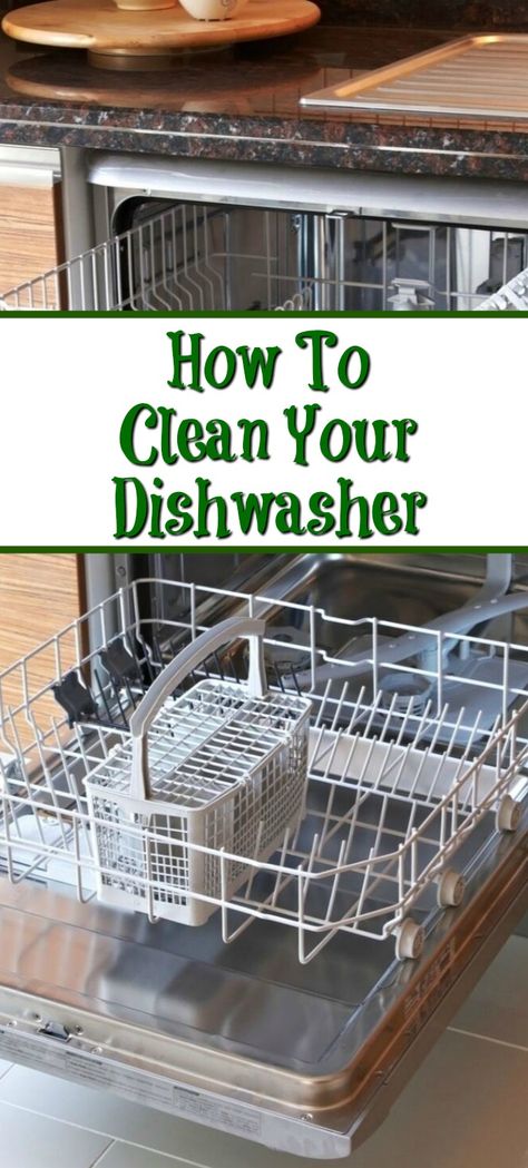 How to Effectively Clean Your Dishwasher, isn't it weird to think how little we clean something that we rely on to do so much cleaning?  I don't know about your house, but there are days we run the dishwasher two or three times. But have you ever stopped to look at how clean your dishwasher is?  Once you crack that dishwasher open and look around, you will see what I am talking about.  It is amazing how much soap scum residue accumulates along with grease and food particles. These things will ev Doterra Cleaning Recipes, Clean Your Dishwasher, Dishwasher Cleaning, Cleaning Your Dishwasher, Dishwasher Cleaner, Cleaning Inspiration, Cleaning Methods, Homemade Cleaners, Spring Cleaning Hacks