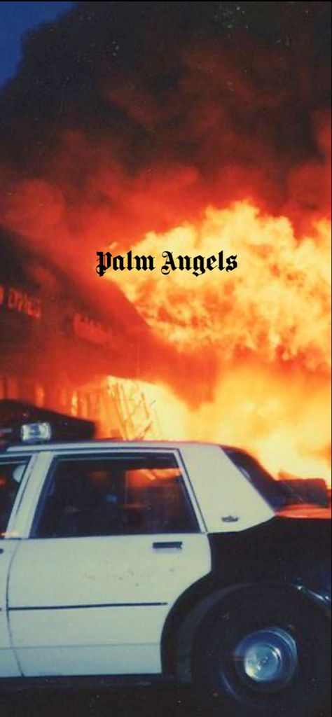 Palm Angels Wallpaper Iphone, Hype Wallpaper Aesthetic, Palm Angels Wallpaper, Angels Wallpaper, Hypebeast Iphone Wallpaper, Mode Hip Hop, Hype Wallpaper, Future Wallpaper, Hypebeast Wallpaper