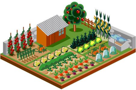 Gardeners’ tips for a successful natural vegetable garden Garden Rows, Garden Planing, Gardening For Dummies, Future Garden, Grow Vegetables, Garden Vegetables, Potager Garden, Garden Drawing, Survival Gardening