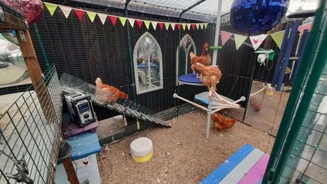 Chicken boredom busters: keeping your birds hentertained Chicken Boredom Buster, Chicken Boredom, Old Wood Ladder, Chicken Tunnels, Easy Chicken Coop, Fruit Kebabs, Play Tunnel, Diy Chicken, Treat Dispenser